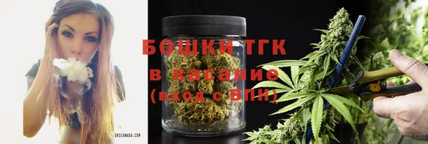 амф Краснослободск