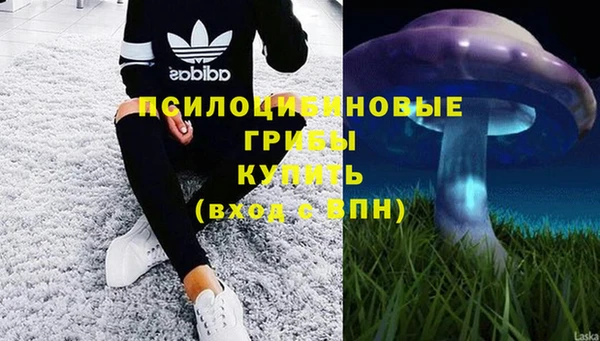 амф Краснослободск
