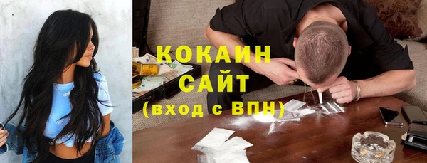 амф Краснослободск